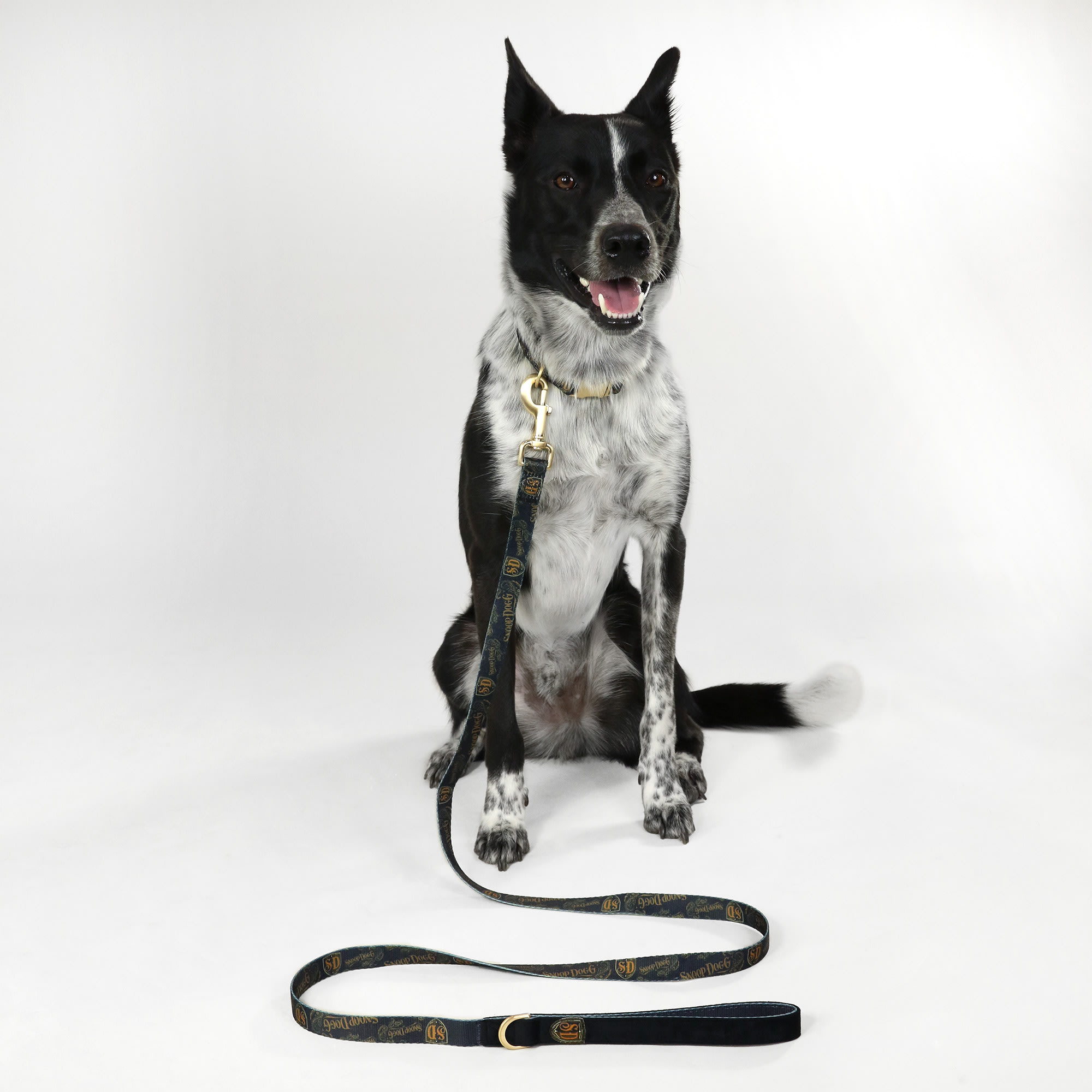 Snoop Doggie Doggs Black Classic Snoop Deluxe Pet Lead， Small， 5 ft.