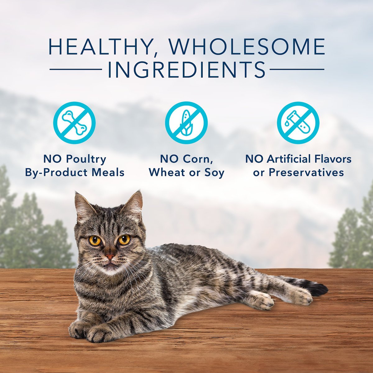 Blue Buffalo Wilderness Chicken and Duck Grain-Free Cat Treats