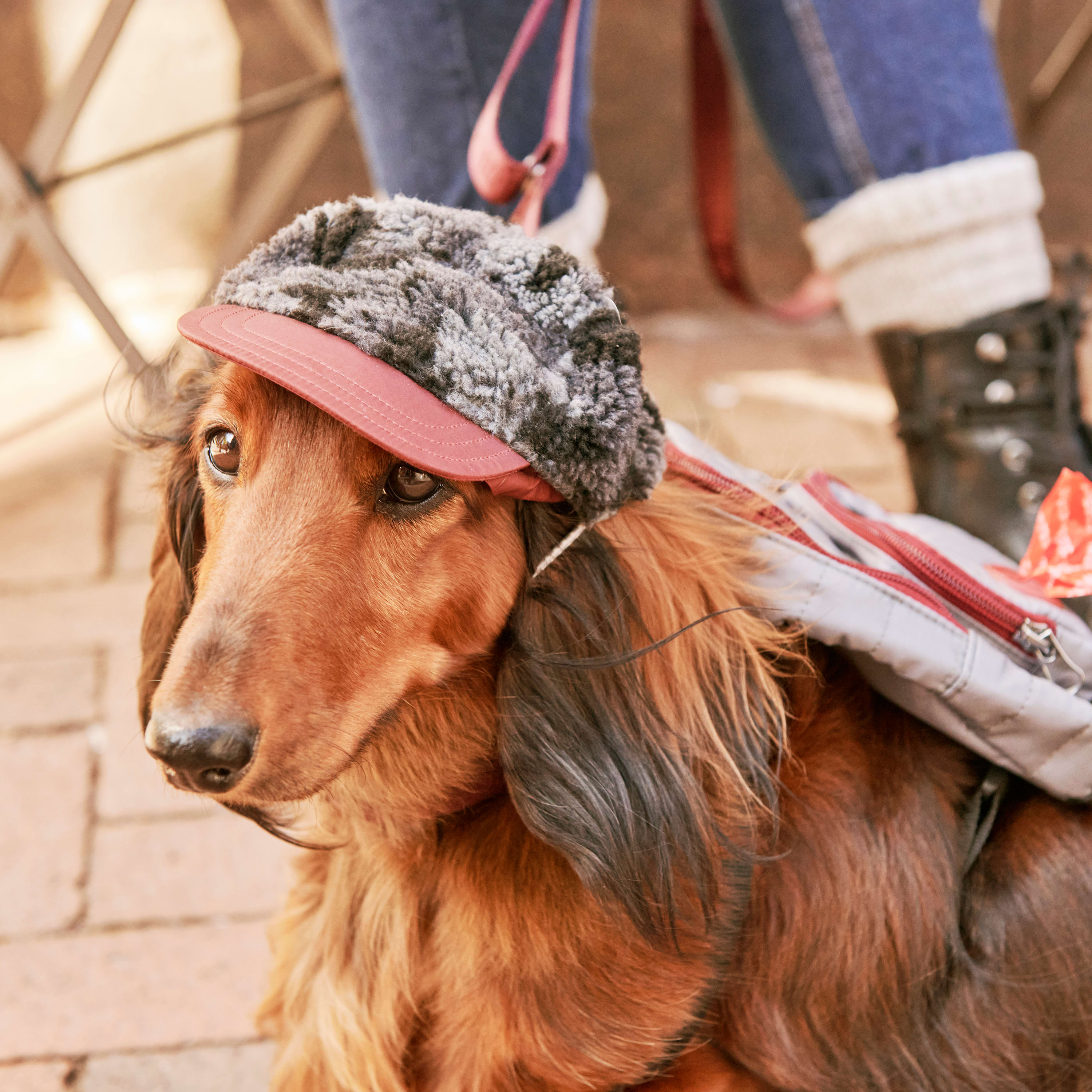 Reddy Quilted Dog Backpack， X-Small/Small