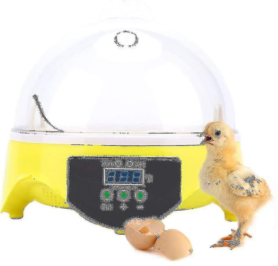 Digital Automatic Egg Incubator With 7-egg Capacity And Auto Turning