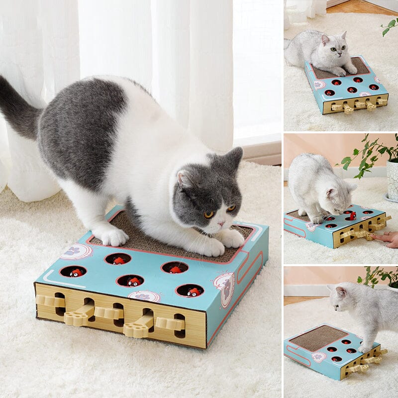 Cat Interactive Toy