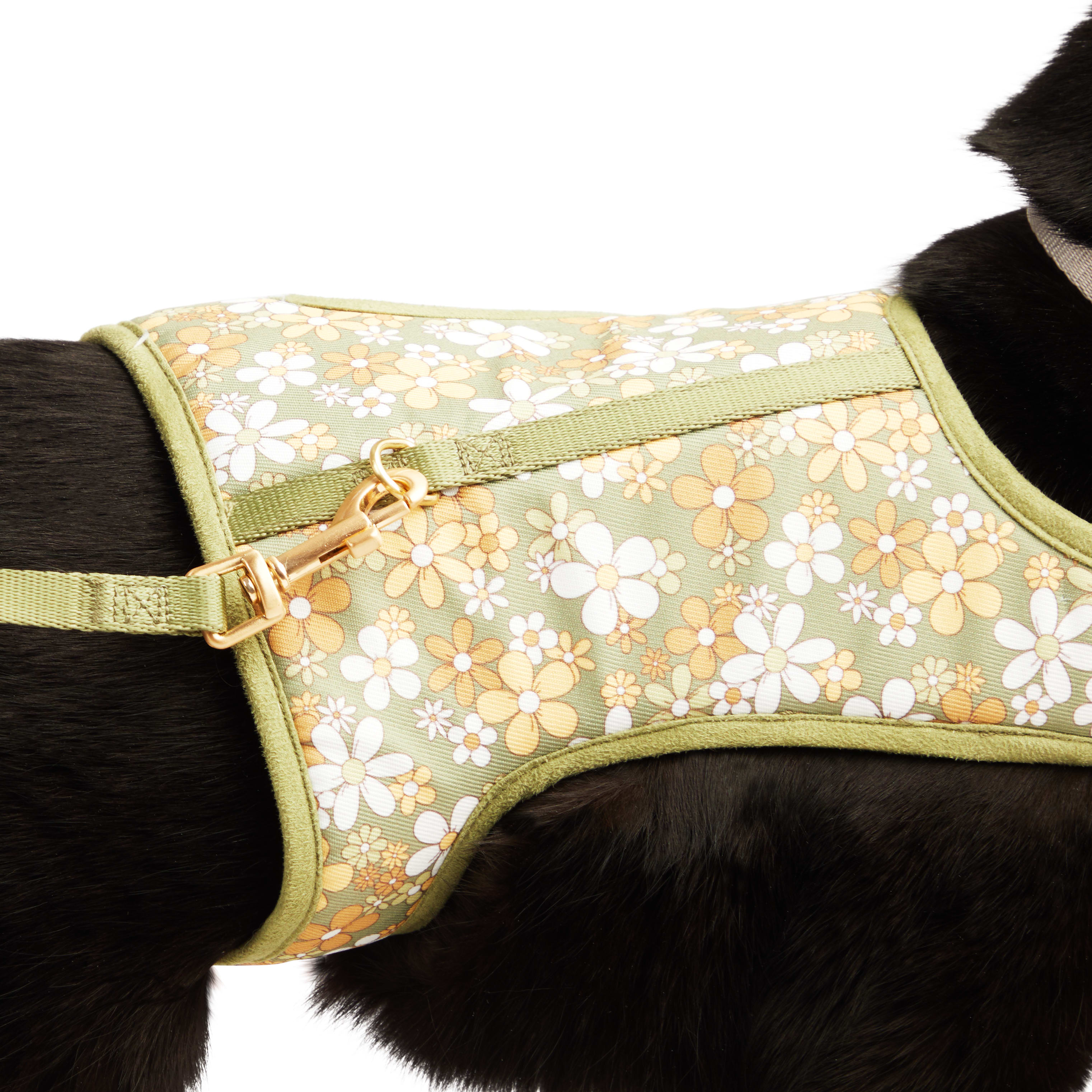 YOULY Retro Floral Cat Harness Set， Small/Medium