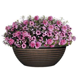 CHG CLASSIC HOME  GARDEN 17 in. Antique Copper Santa Fe Bowl Resin Planter 5601D-174PB