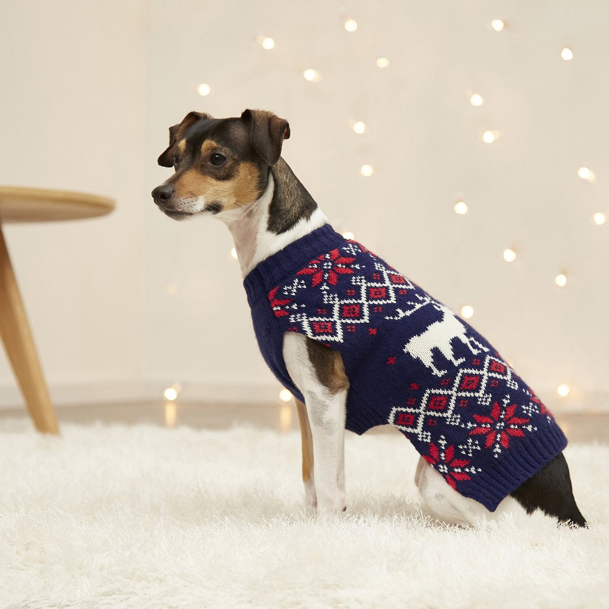 Frisco Moose Fair Isle Dog and Cat Sweater， Navy