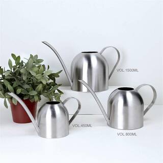 Dyiom 15 oz. Stainless Steel Water Can for Garden B07MFZYM6N