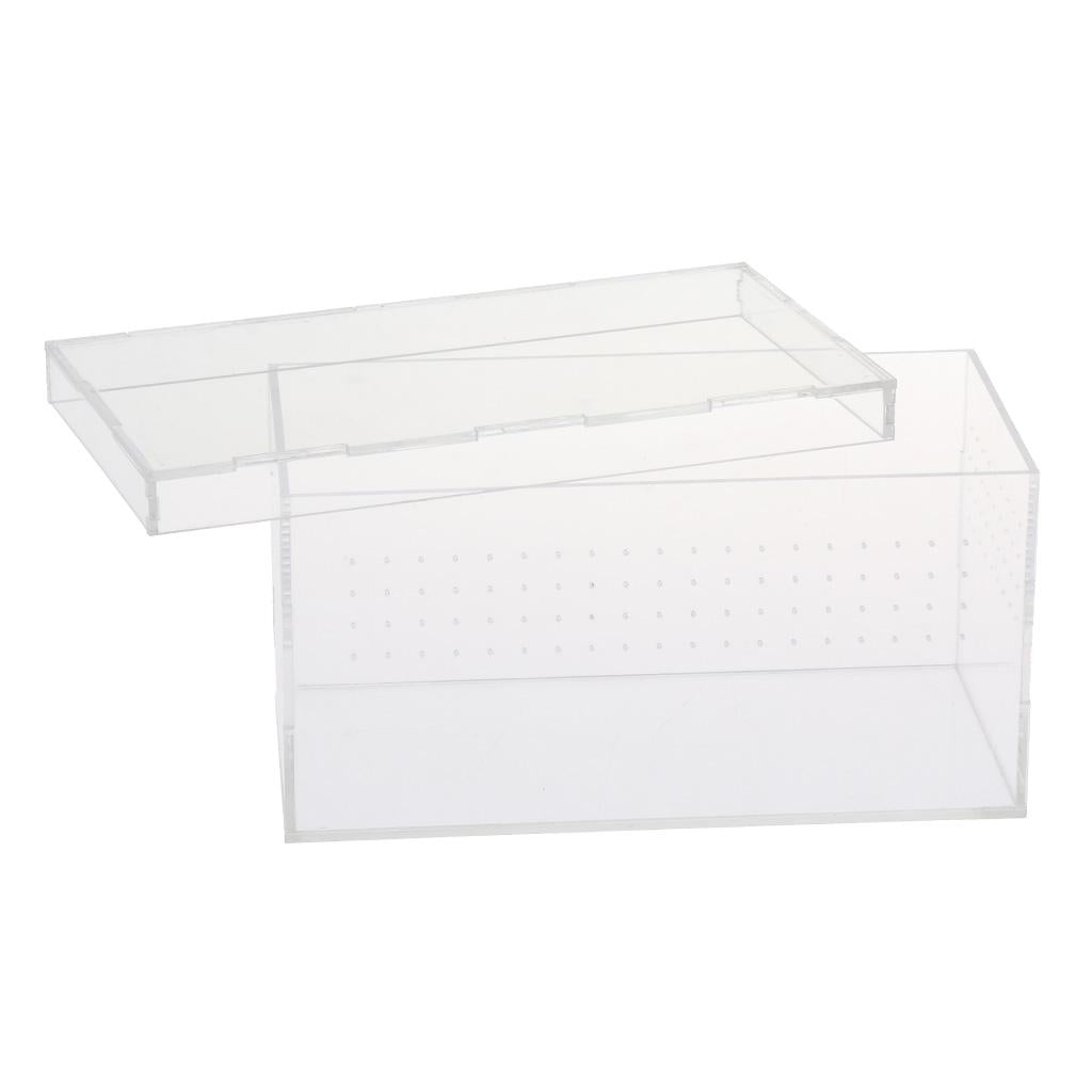 Acrylic Reptile Feeding Tank for Spiders Breeding Box