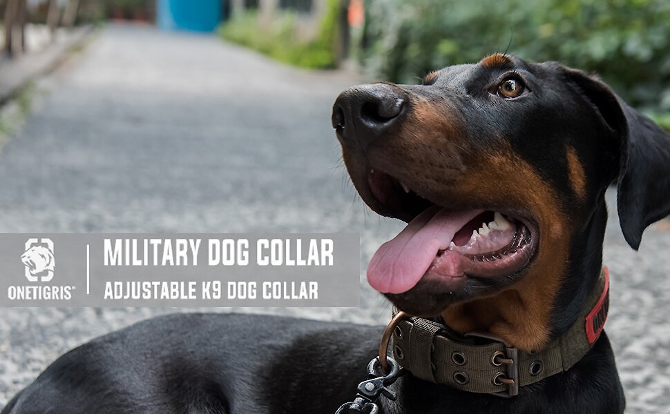 OneTigris Nylon Military Dog Collar