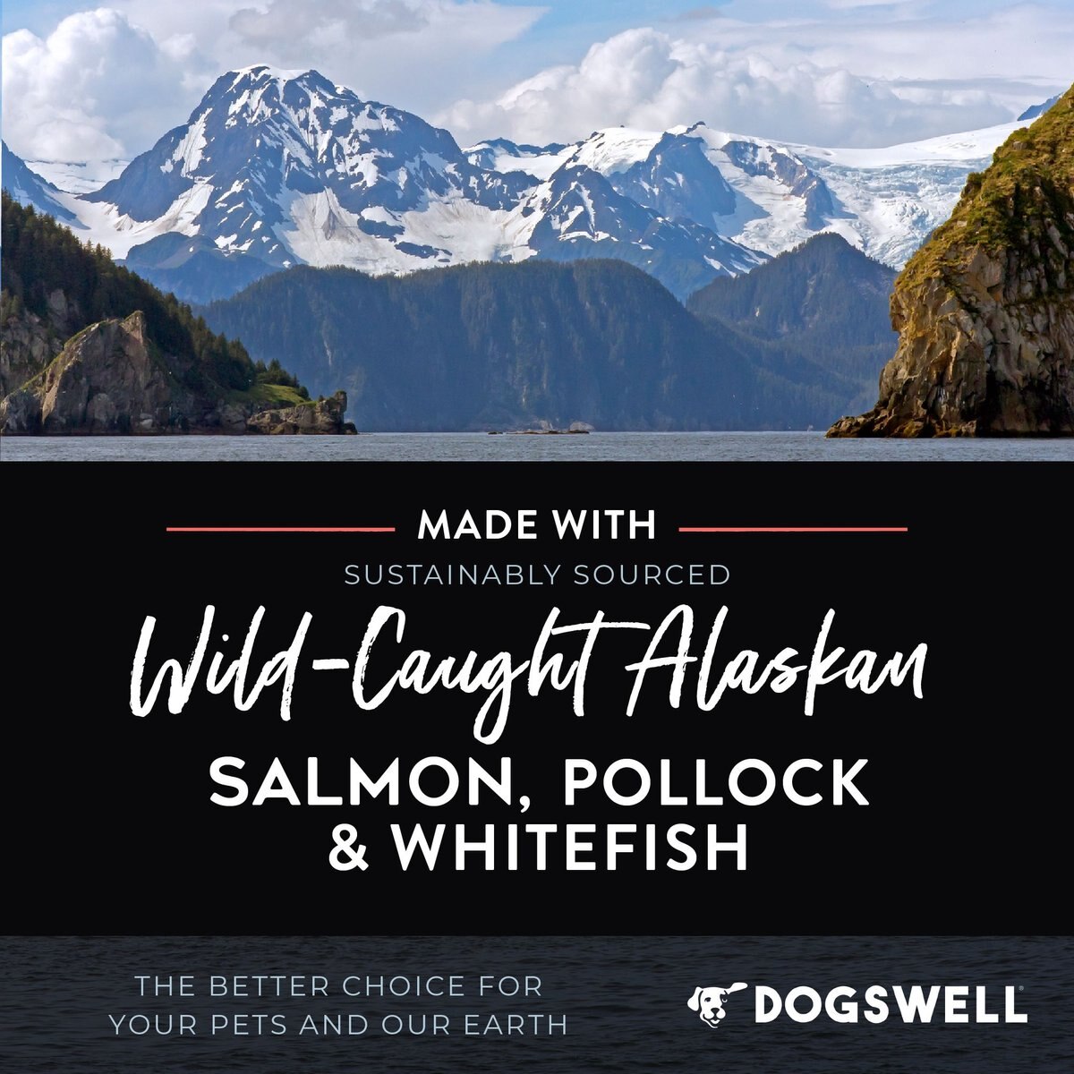 Dogswell Wild Alaskan Salmon Oil Dog Supplement