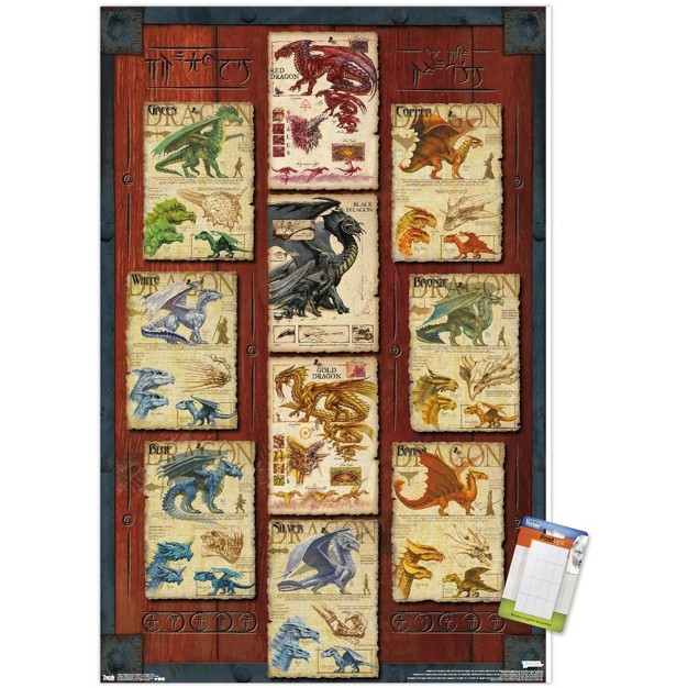 Trends International Dungeons And Dragons Dragon Grid Unframed Wall Poster Prints