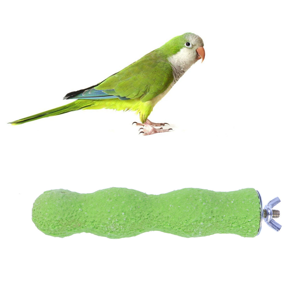 14CM Bird Perch Parrot Stand Parakeet Natural Wood Rough Sand Perches Grinding Nail for Small Medium Large Birds African Grey Co