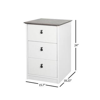 SAINT BIRCH Finley WhiteGray Oak 3-Drawer Lateral File Cabinet SBFL4125FCWG