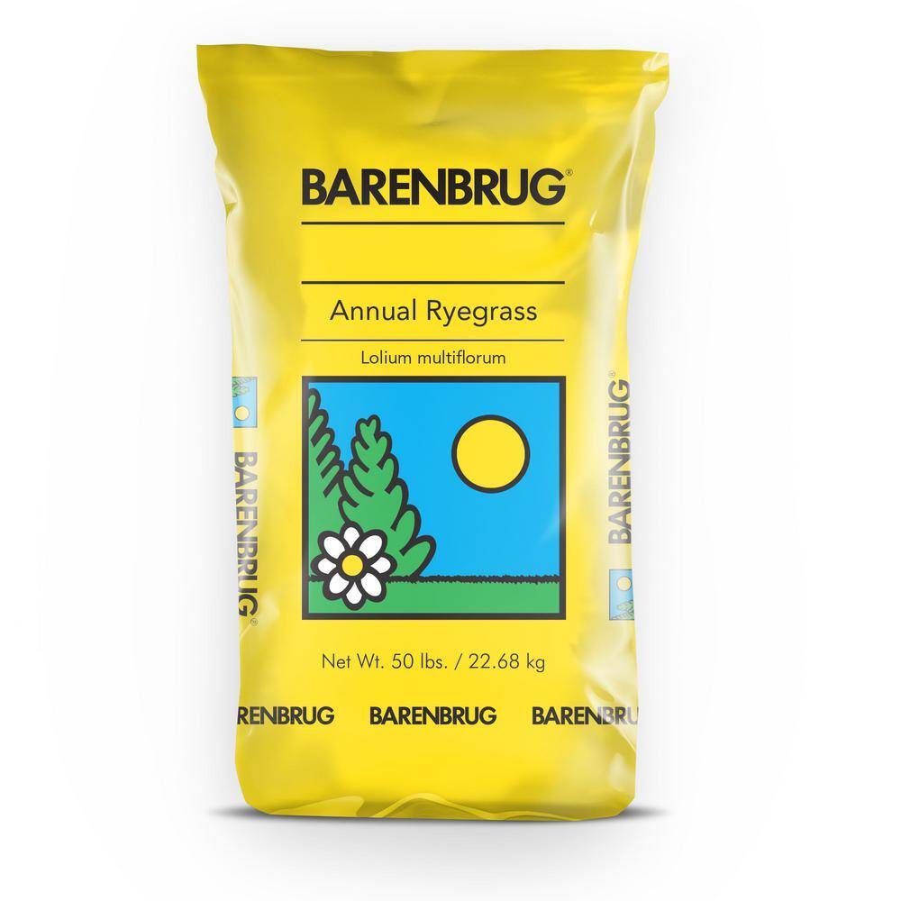 Barenbrug 50 lb. Panterra V OverSeeding Rye Grass Seed 25080