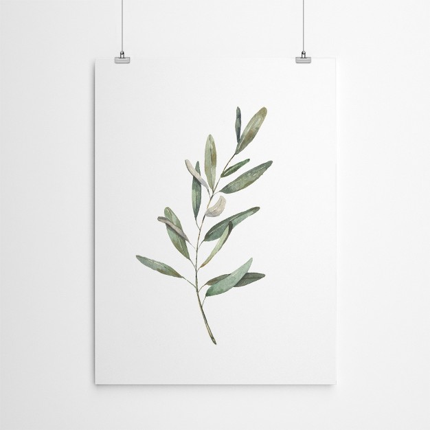 Americanflat Botanical Minimalist Olive Branch By Cami Monet Poster