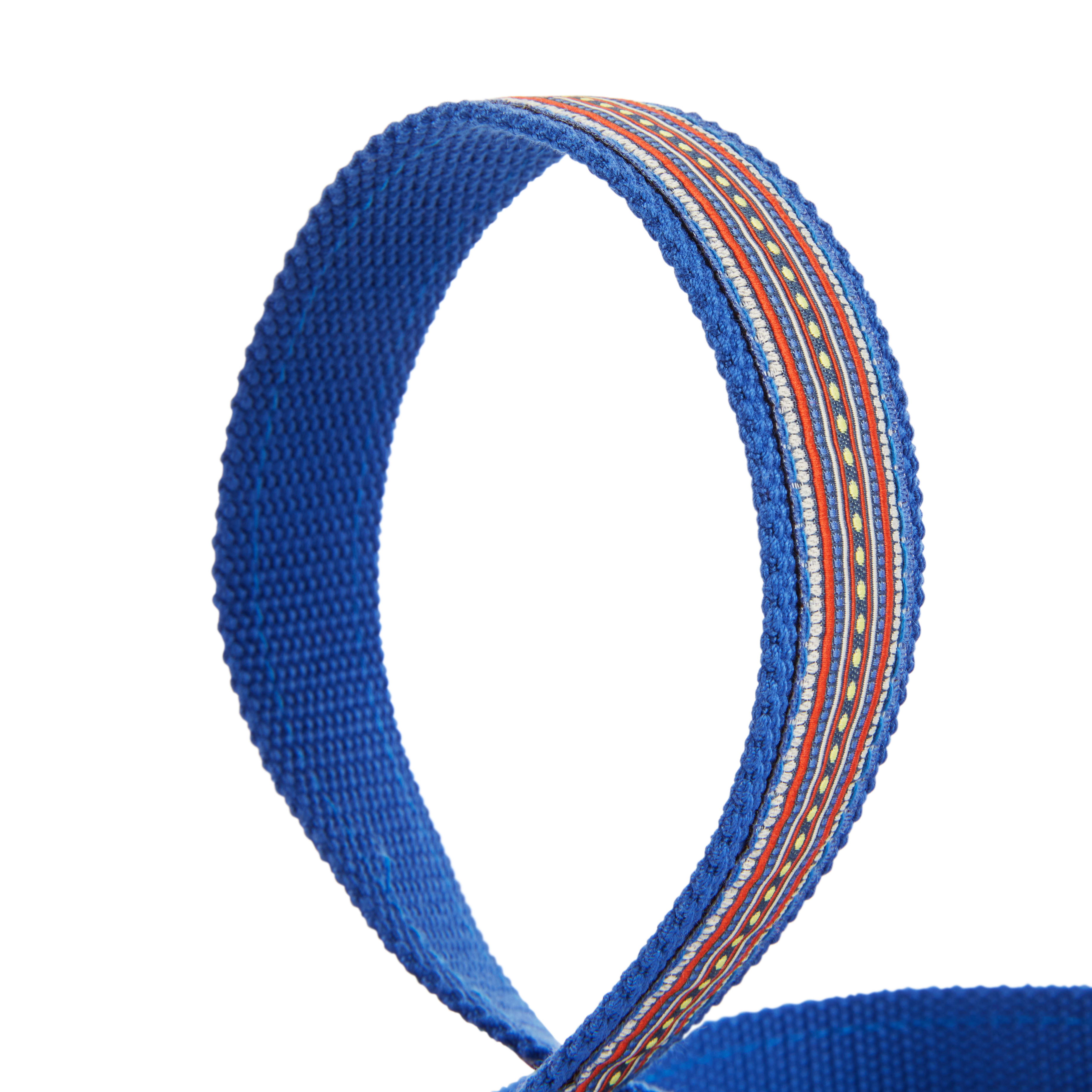 YOULY The Wanderer Blue Stitched Dog Leash， 6 ft.