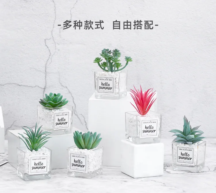 hotsale supplies mini succulent plants bonsai potted home garden decoration succulents artificial plant greenery