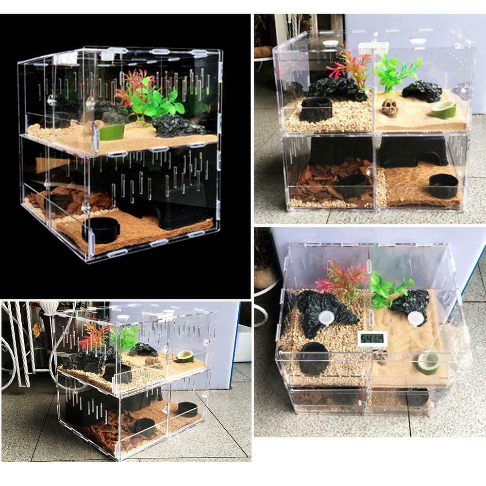 Nisorpa Magnetic Acrylic Reptile Cage Breeding Box Clear Feeding Habitat for Tarantula Scorpion Sling Isopods Lizards Roach Invertebrates