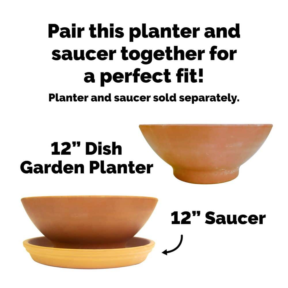 Pennington 12 in. Medium Terra Cotta Clay Dish Garden Planter 100021298