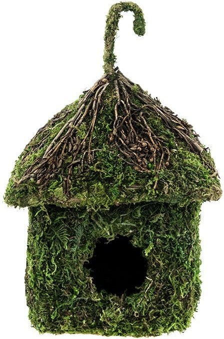 Galapagos Shack Deco Birdhouse， Fresh Green