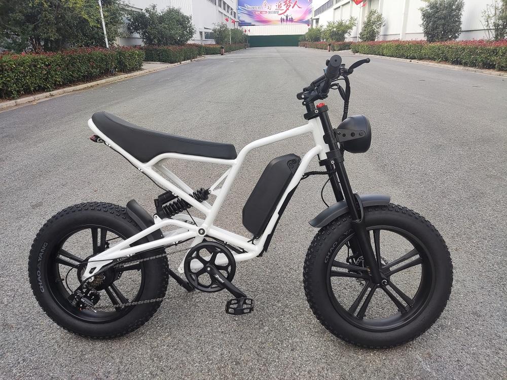 electric cycling bike 500W 750W 1000W moped e motorcycle 48V 52V 20 Ah battery bicicleta electrica for sale