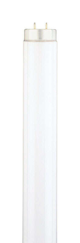 Westinghouse 40 W T12 48 in. L Fluorescent Bulb Cool White Linear 4100 K 1 pk