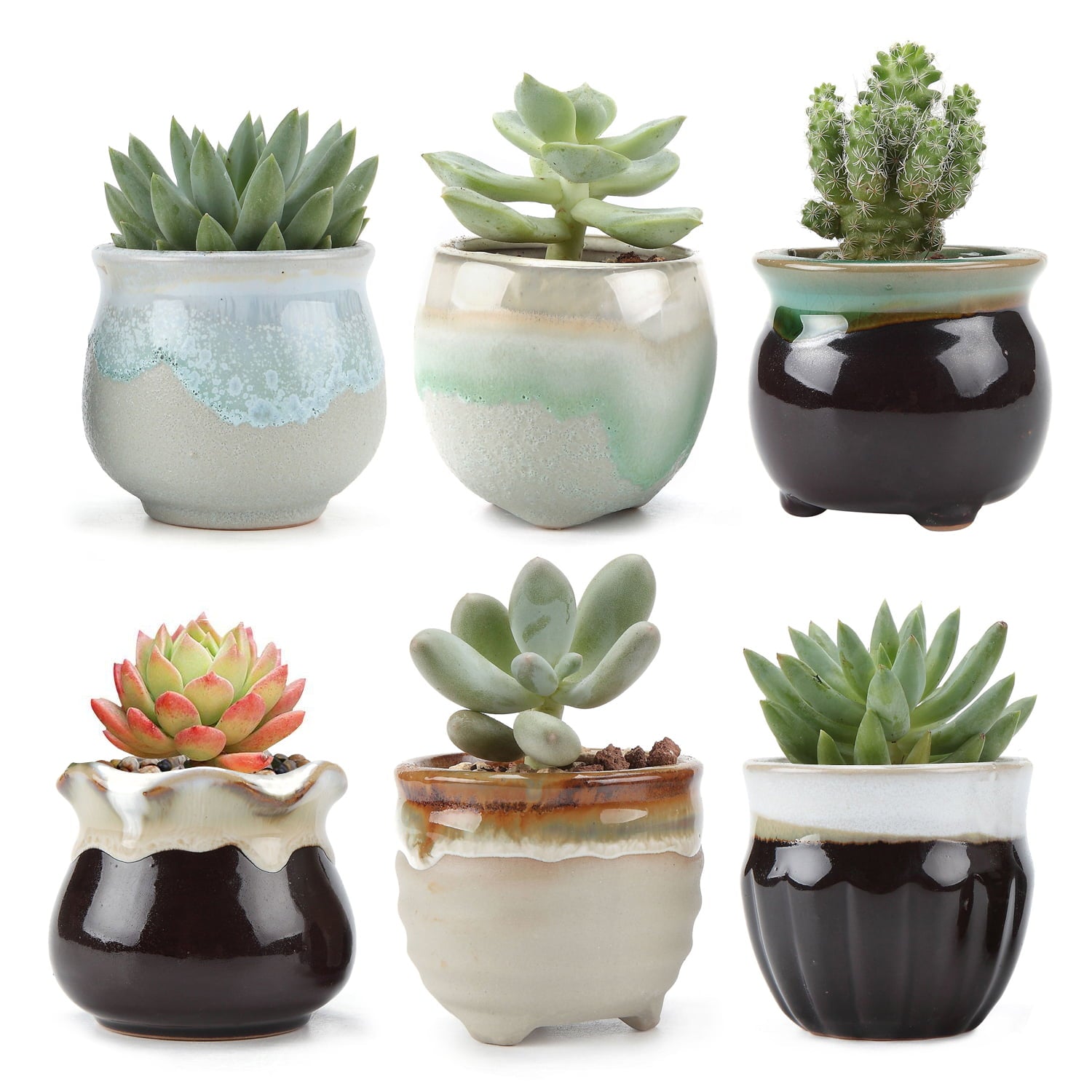 T4U Small Ceramic Succulent Pots Cactus Planter Pots with Multi-Color for Home and Office Decor, Set of 6