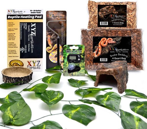 XYZReptiles Boa Constrictor Reptile Starter Kit