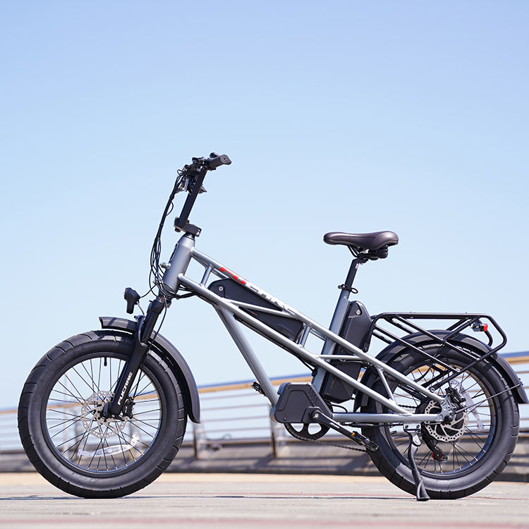 Dual Motor Ebike Big Battery Electric Cycle Fat Tire Full Suspension Electric Bike 48V 750w Electric Mountain