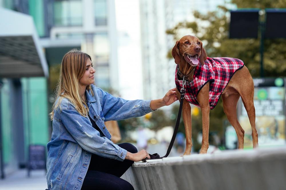 Canada Pooch Reversible Black Plaid Vest for Dogs