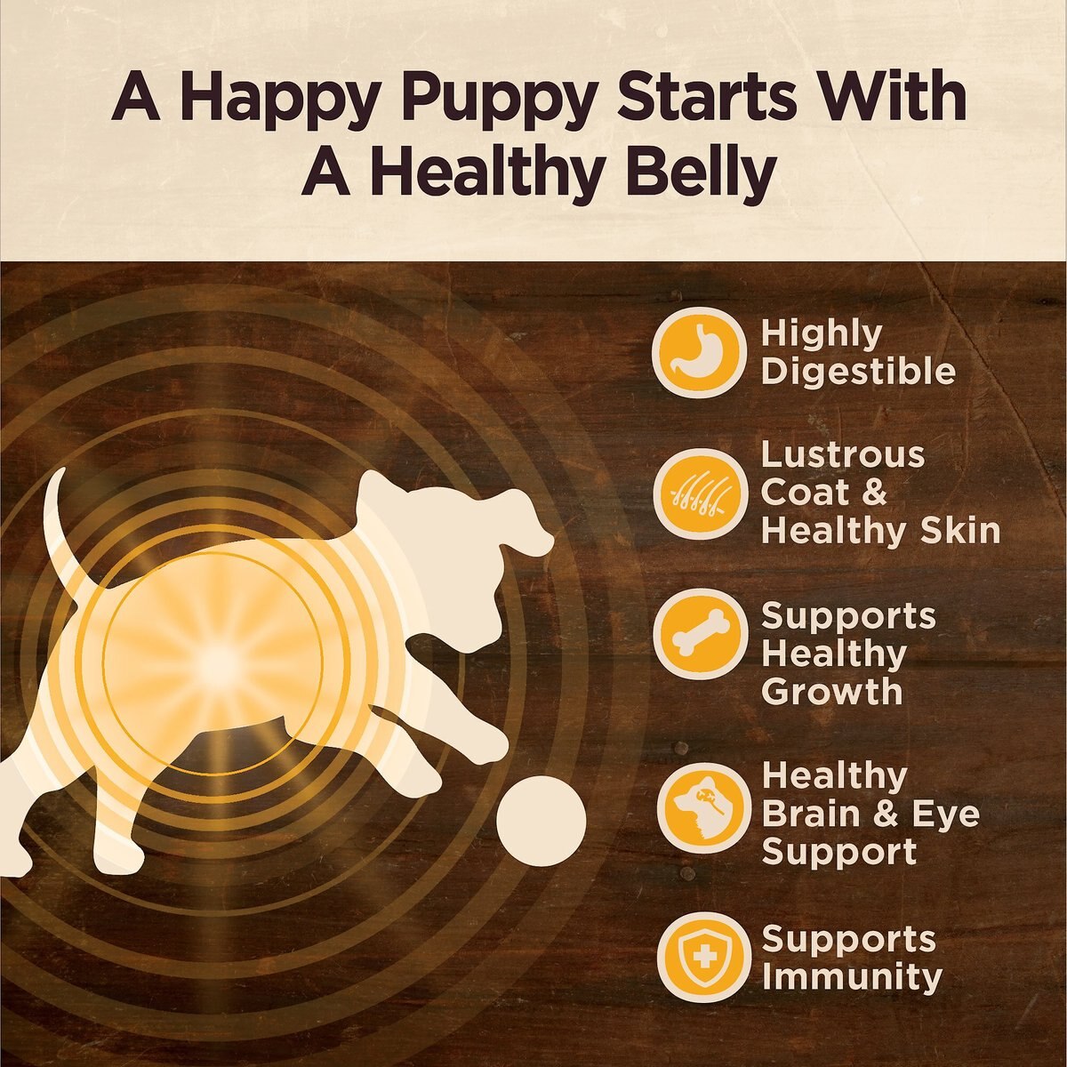 Wellness CORE Digestive Health Puppy Chicken and Brown Rice Dry Dog Food