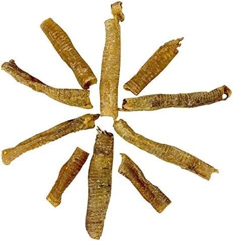 Amazing Dog Treats Lamb Trachea Dog Treats， 10-oz bag