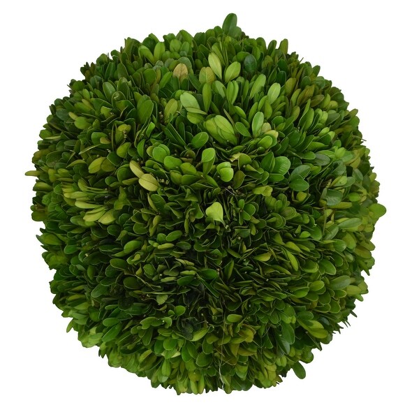 Preserved Boxwood Ball