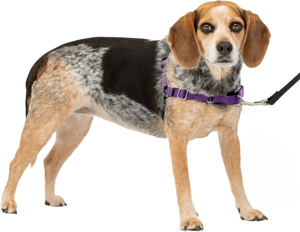 PetSafe Easy Walk Dog Harness