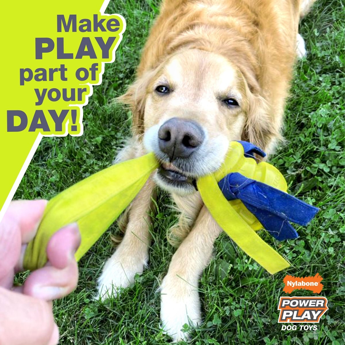 Nylabone Power Play Shake-a-Toss Dog Toy