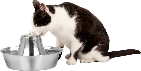 PetSafe Seaside Stainless Steel Cat Water Fountain， 60-oz