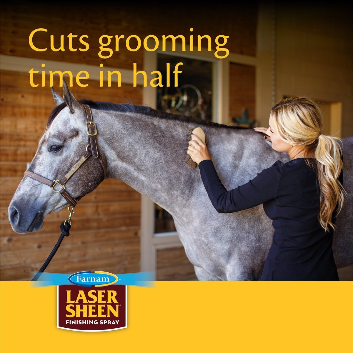 Farnam Laser Sheen Concentrate Horse Shine and Detangler