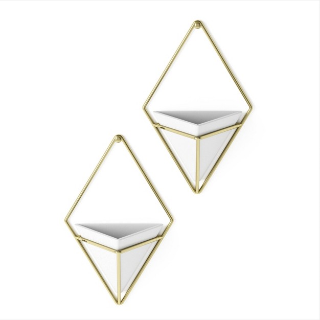 Set Of 2 Trigg Wall Display Planters White brass Umbra