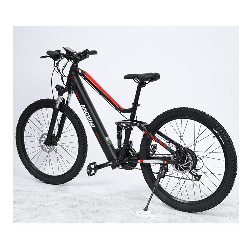 electric bike adult electric cycle 1000w ebike electric bicycle 48v mountain bike mtb electric bicycle(old)