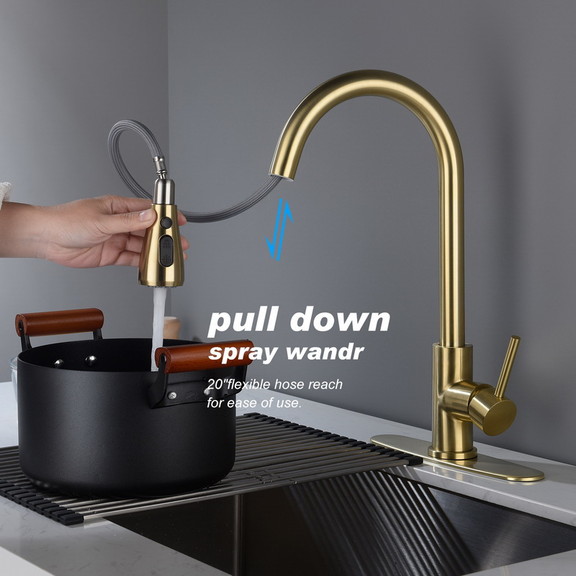 Kitchen Faucet with Pull Out Spraye TH 4003LSJ