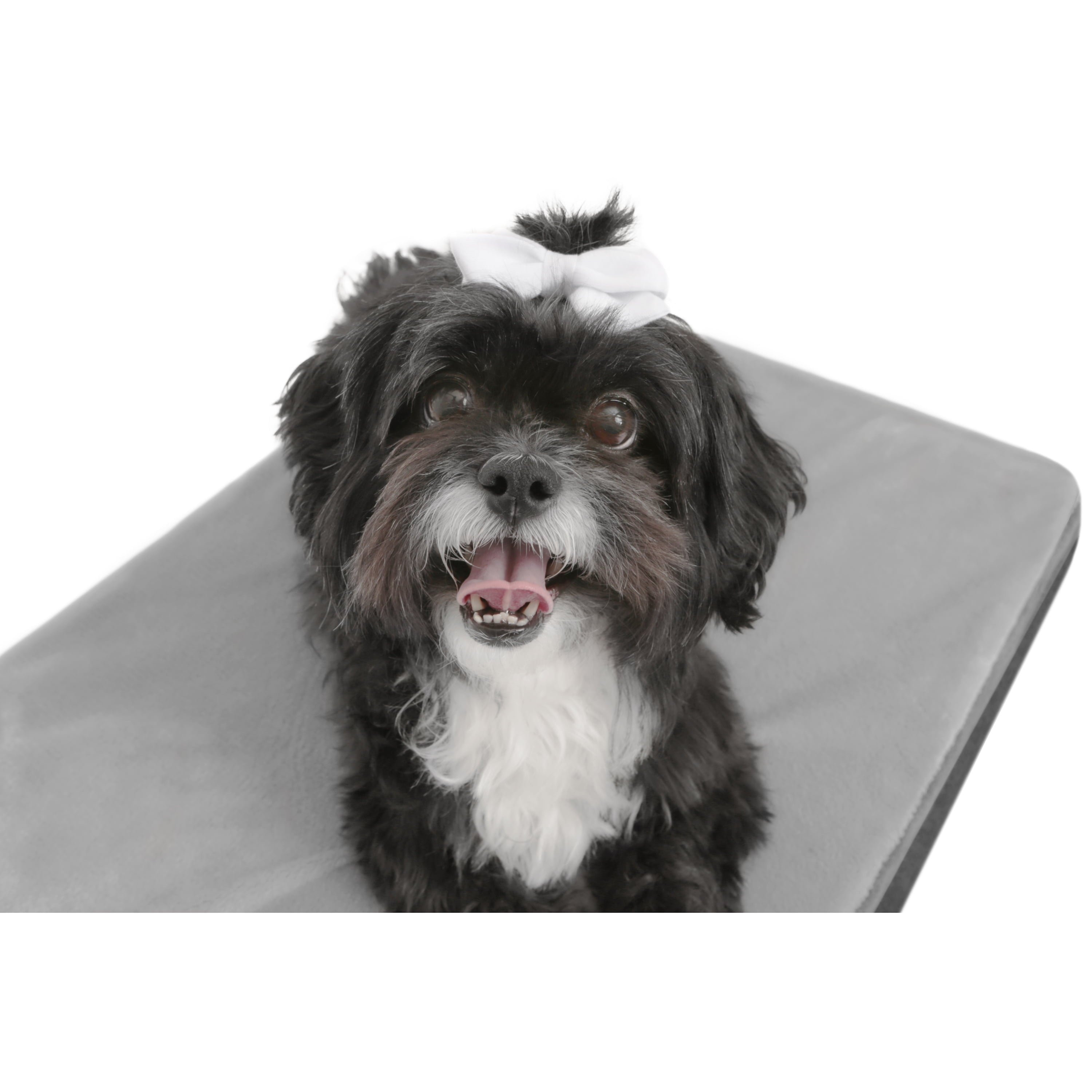 TailZzz Dream Pet Mattress | Large to Extra Large Dog Mattress | Anti-Slip Pet Mattress Bed