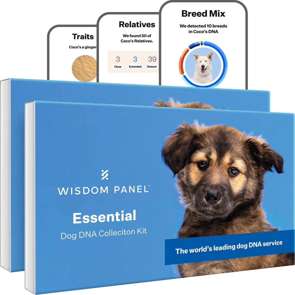 Wisdom Panel Essential Breed Identification DNA Test for Dogs