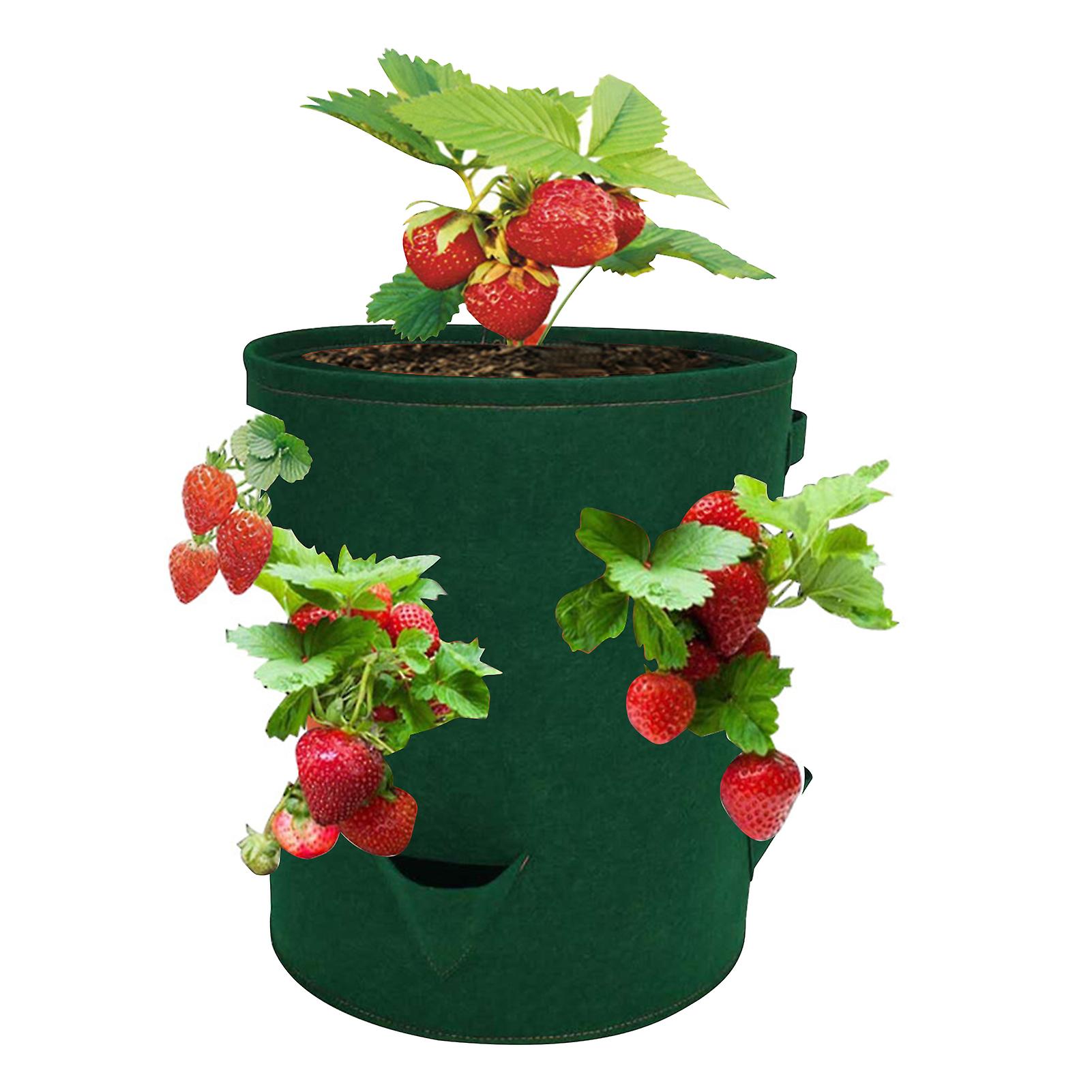 10 Gallon Strawberry Grow Bags With 8 Grow Pouches Planter Box Vegetable Grow Bag Breathable Garden Growing Bag With Handles For Potato Strawberry Fru