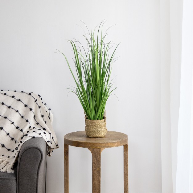 Artificial Onion Grass Plant In Basket