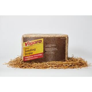 Vigoro Seeding Straw 004