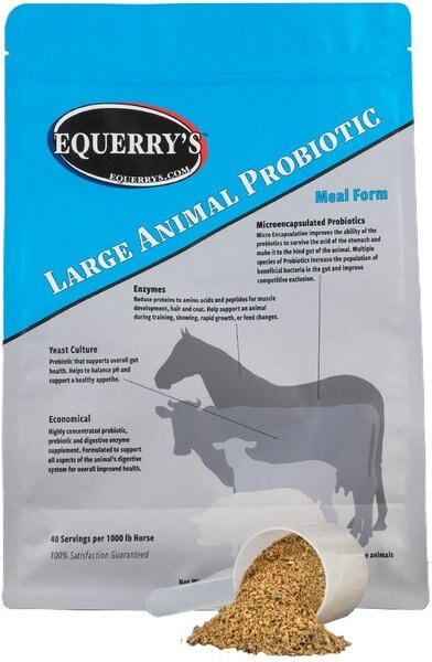 Equerry's Large Animal Probiotic Powder Farm Animal and Horse Supplement