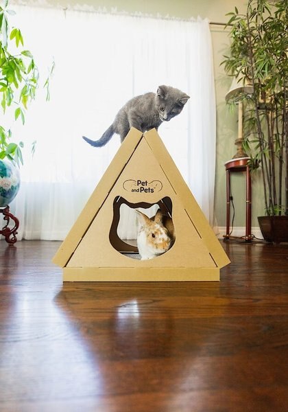 Petique Tippy Peak Eco Cat House