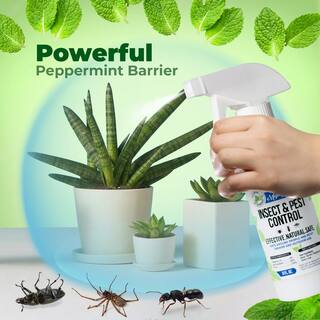 Mighty Mint 8 oz. Insect and Pest Control Peppermint Concentrate - Makes a Gallon - Natural Spray for Spiders Ants and More IC-8