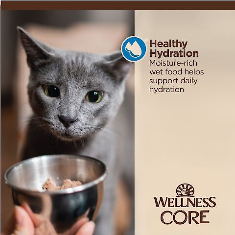 Wellness CORE Tiny Tasters Tuna and Shrimp Grain-Free Flaked Wet Cat Food， 1.75-oz pouch， case of 12