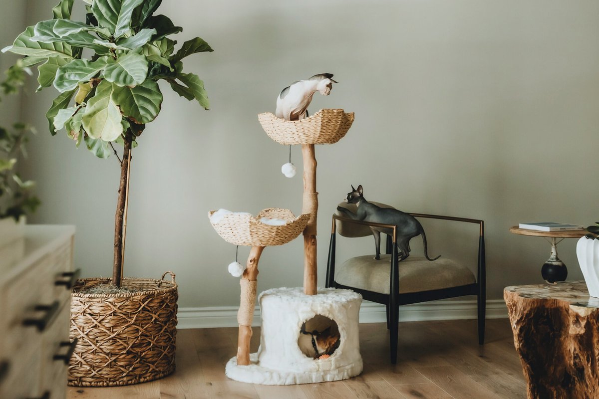 Mau Lifestyle Cento 46-in Modern Wooden Cat Tree and Condo