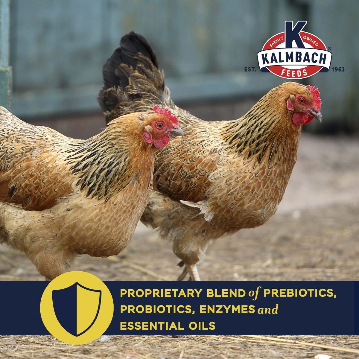 Kalmbach Feeds All Natural Non-GMO 17% Protein Layer Pellets Chicken Feed， 50-lb bag