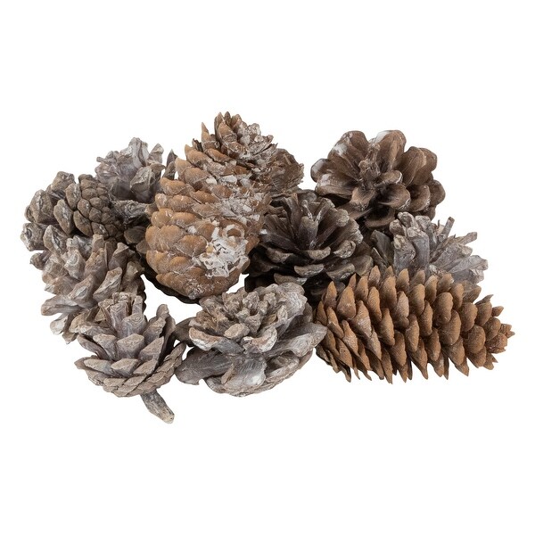 Pinecones and Snowflakes Christmas Decorations